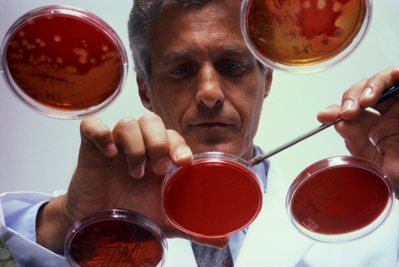 Blood Clots may be triggered by Dental Plaque Bacteria