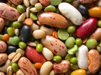 Whole Grains, Legumes, Nuts and Seeds – The Importance of Preparation