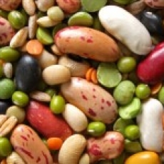 Whole Grains, Legumes, Nuts and Seeds – The Importance of Preparation