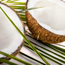 Coconut oil may combat tooth decay
